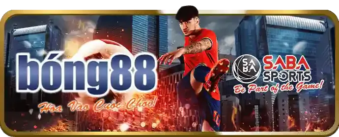 Cập Nhật Liên Tục